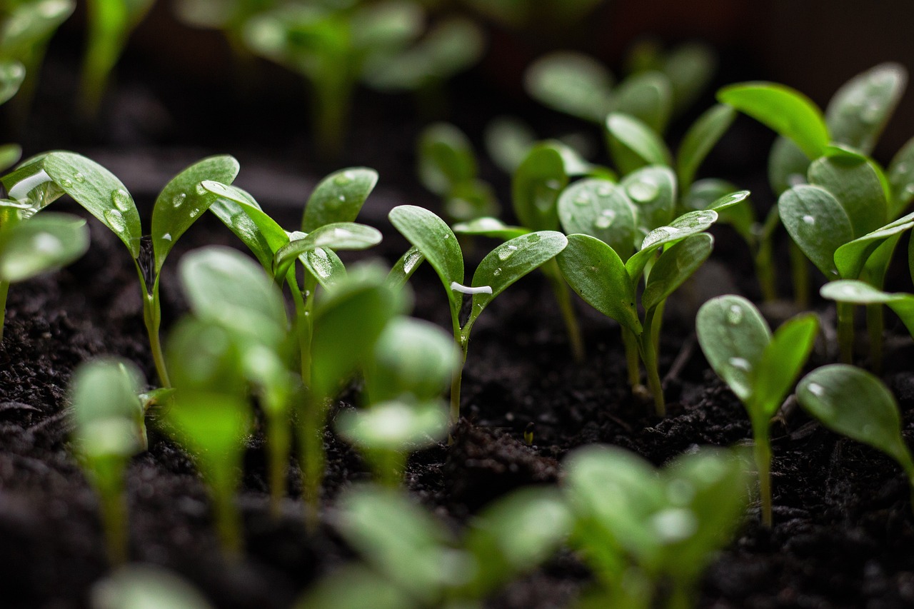 découvrez les enjeux et les opportunités de l'entrepreneuriat durable. explorez comment allier succès économique et responsabilité sociale pour bâtir un avenir écoresponsable à travers des pratiques innovantes et respectueuses de l'environnement.