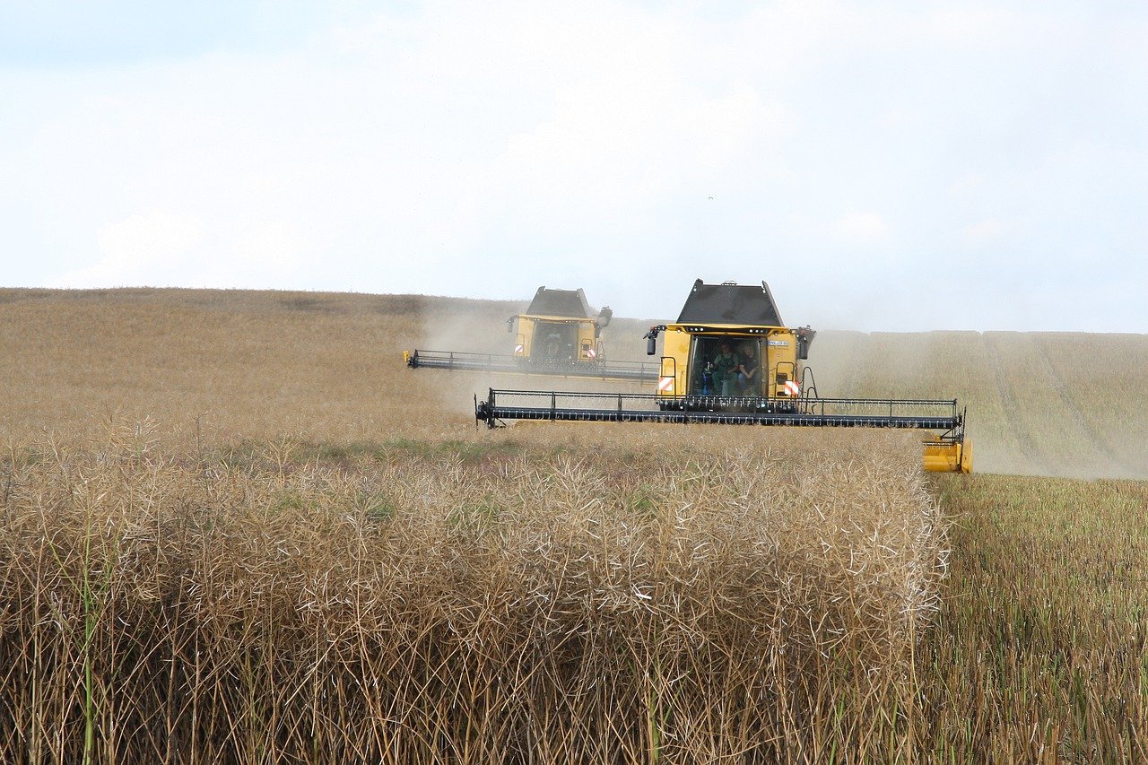 découvrez l'univers de l'agriculture : des techniques durables aux innovations technologiques, explorez comment l'agriculture façonne notre paysage, nourrit la population mondiale et préserve notre environnement.