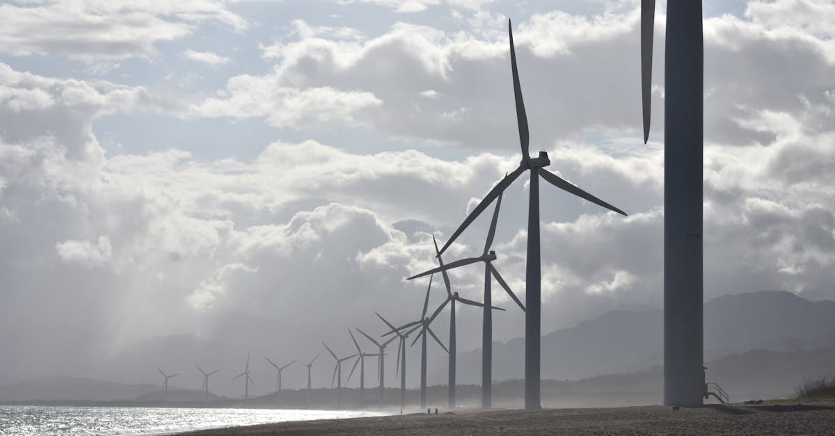 découvrez les principes du développement durable, une approche qui allie croissance économique, protection de l'environnement et équité sociale. apprenez comment intégrer des pratiques durables dans votre vie quotidienne et contribuer à un avenir meilleur pour notre planète.