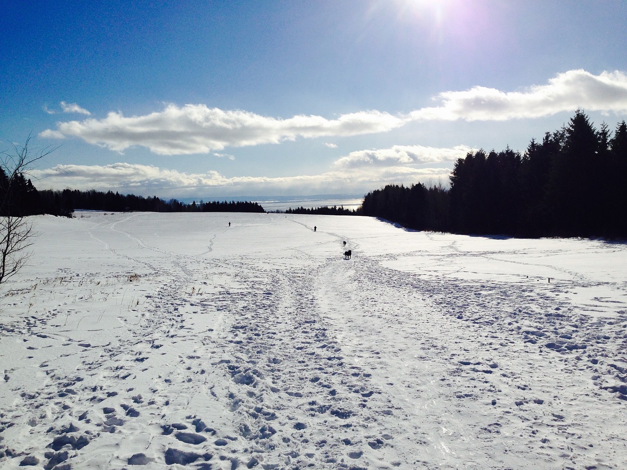 découvrez charlevoix, une région enchanteur au canada, reconnue pour ses paysages à couper le souffle, ses activités en plein air, et sa riche culture locale. explorez ses charmants villages, dégustez des spécialités culinaires et laissez-vous séduire par la beauté naturelle de cette destination unique.