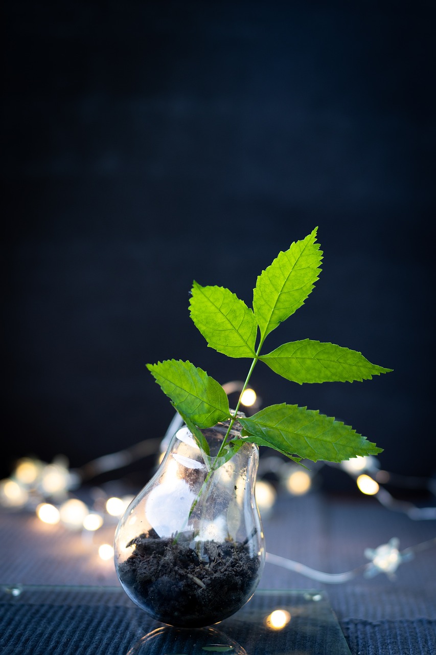 découvrez les dernières innovations à base de plantes qui transforment notre alimentation et notre mode de vie. explorez des solutions durables et savoureuses qui allient santé, goût et respect de l'environnement.